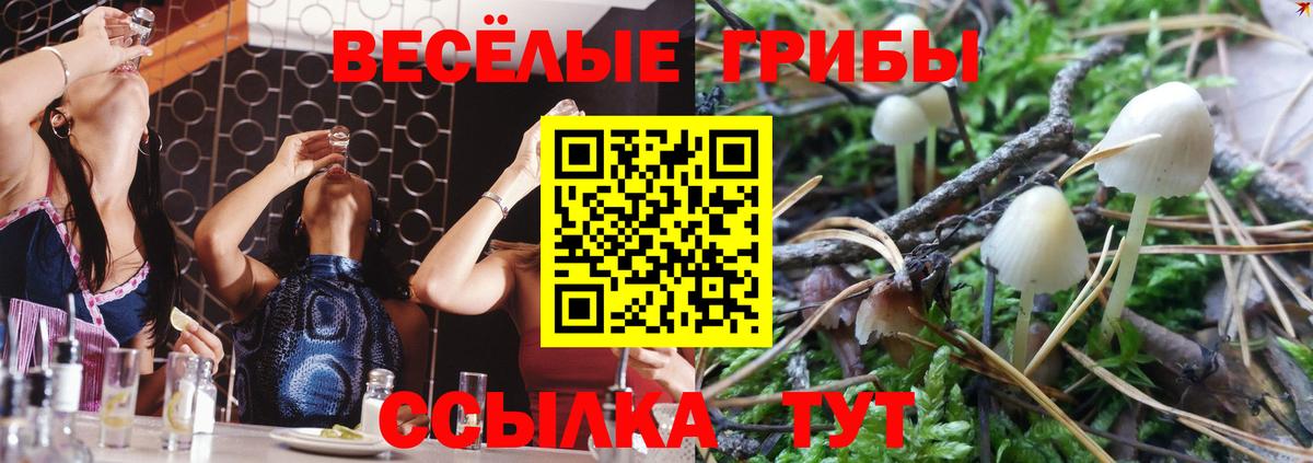 Галлюциногенные грибы мухоморы  закладка  Ступино  Вход с VPN 